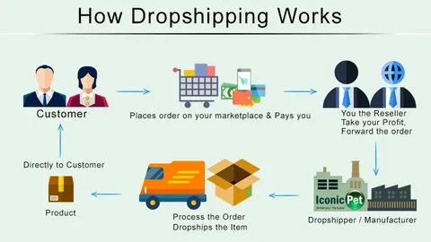 Title: Dropshipping 2025: Navigation the Future of E-Commerce